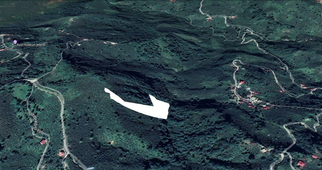 KEŞAP DÜZKÖY DENİZ MANZARALI FINDIK BAHÇESİ
